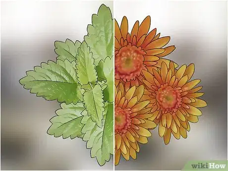 Image titled Keep Bugs Away Step 13