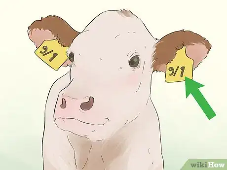 Image titled Write Cattle Ear Tags Step 4