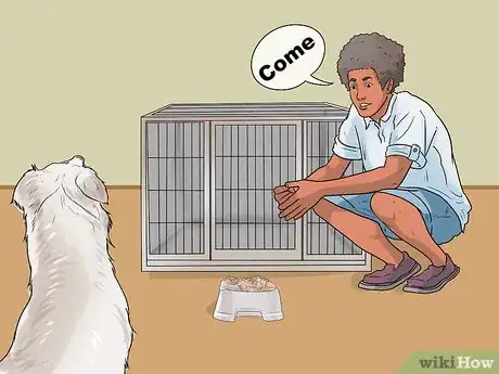 Image titled Get Used to a New Dog Step 12