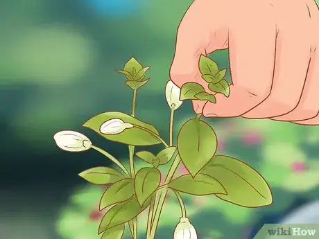 Image titled Prune Flowers Step 5