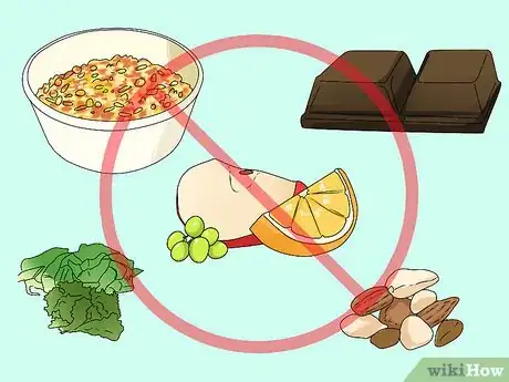 Image titled Feed a Chinchilla Step 7