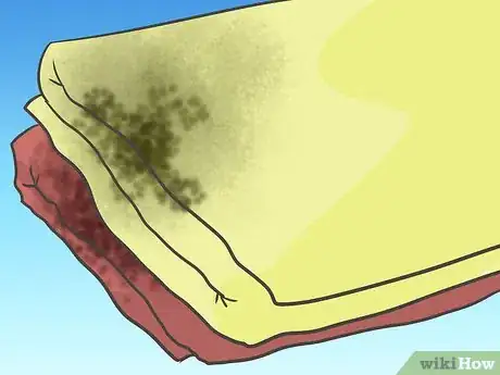 Image titled Organize a Messy Garden Shed Step 1Bullet3