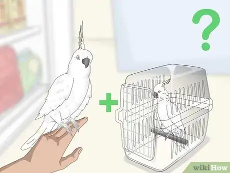 Image titled Choose a Cockatoo Step 19