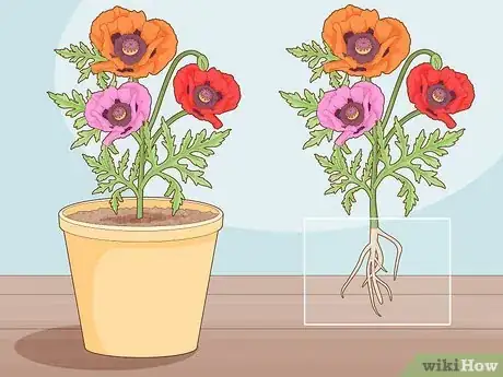 Image titled Take Root Cuttings Step 1