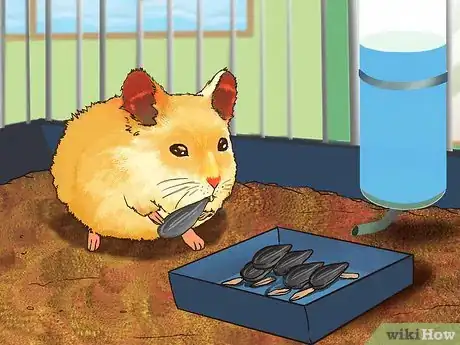 Image titled Be a Good Hamster Owner (for Kids) Step 4