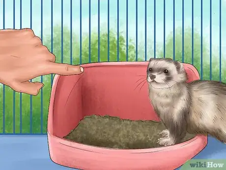 Image titled Litter Train Your Ferret Step 6