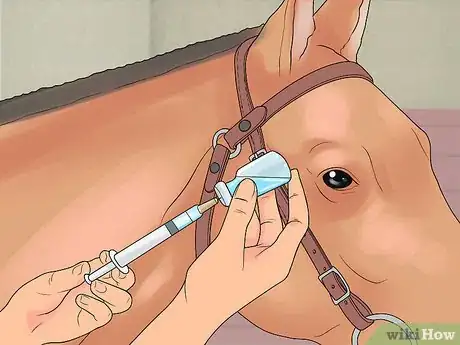 Image titled Find and Train a Barrel Horse Step 13