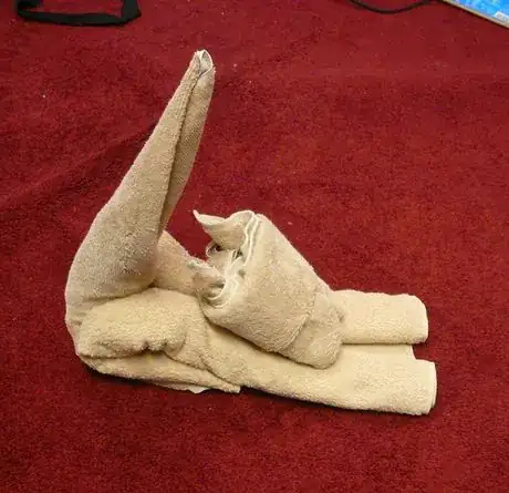 Image titled C19_931.JPG