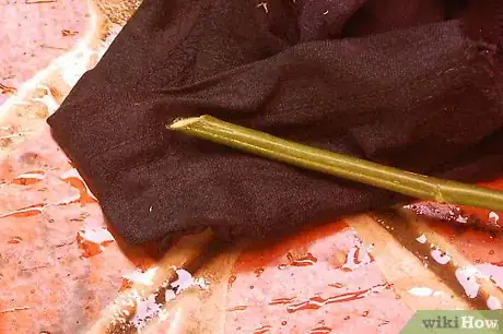 Image titled Grow a Rose Bush from Rose Bush Cuttings Step 3