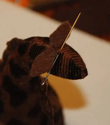 Image titled Georgehorn1.JPG