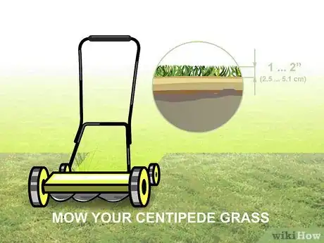 Image titled Grow Centipede Grass Step 19