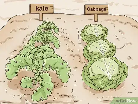 Image titled Grow a Sustainable Garden Step 8