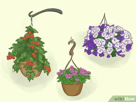Image titled Choose Outdoor Hanging Plants Step 1