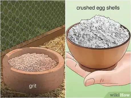 Image titled Care for an Asian Common Quail Step 7