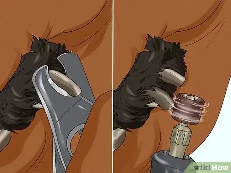 Image titled Use a Rotary Tool to Trim Your Pet's Nails Step 11