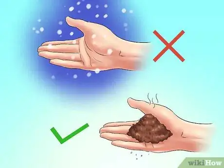 Image titled Winterize Calla Lily Bulbs Step 13