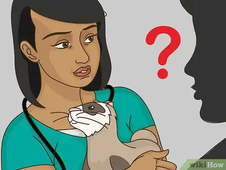 Image titled Stop a Ferret from Digging in Houseplants Step 10