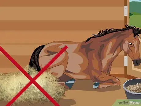 Image titled Prevent Heaves in Horses Step 8