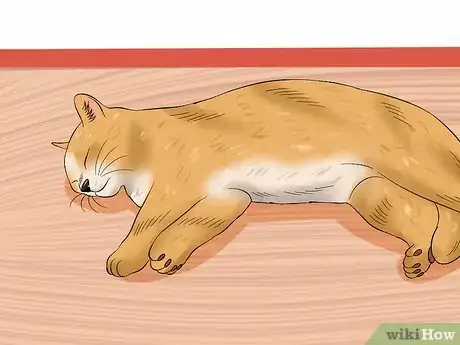 Image titled Diagnose Feline Upper Respiratory Illness Step 5