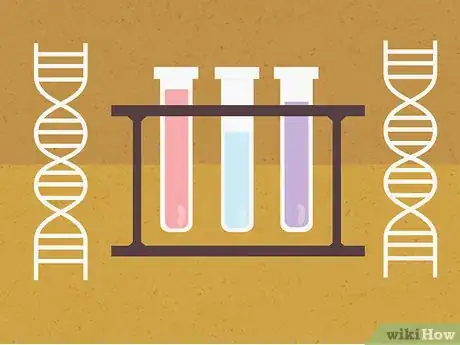 Image titled Legitimate a Child Step 7