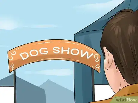 Image titled Check Breed Standards Before Breeding Dogs Step 9