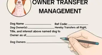 Adopt a Dog As an Unmarried Couple