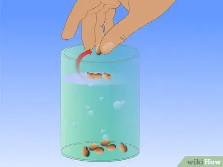 Image titled Save Watermelon Seeds for Planting Step 6