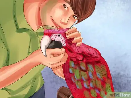 Image titled Stop a Greenwing Macaw from Biting Step 8