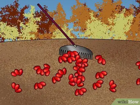 Image titled Harvest Coffee Beans Step 3