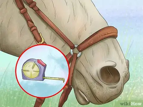 Image titled Choose a Bridle for Your Horse Step 7