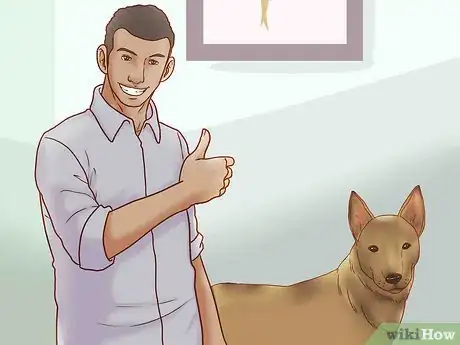 Image titled Interact with a Dog Before Adopting It Step 15