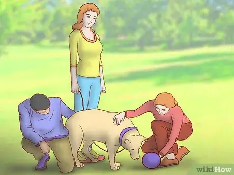 Image titled Get Your Dog Into a Commercial Step 7