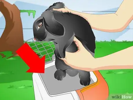Image titled Make a Puppy Stop Digging Step 6