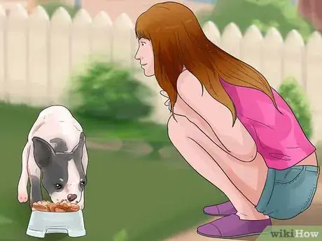 Image titled Tell if a Dog Is Getting Food Aggression Step 7