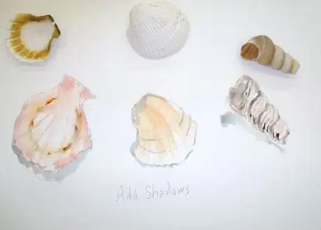 Image titled Seashaddshadows