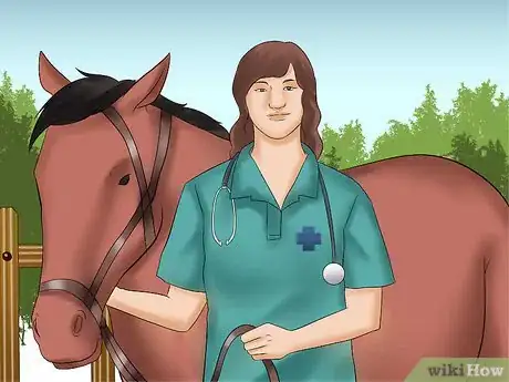 Image titled Buy Your First Horse Step 12