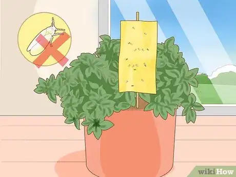 Image titled Care for Fuchsia Step 14