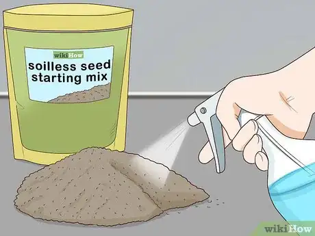 Image titled Plant Angel Trumpet Seeds Step 8