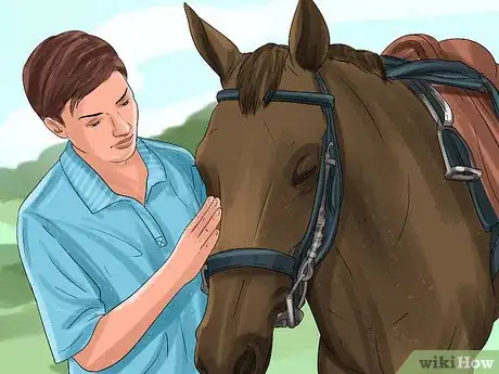 Image titled Round Pen a Horse Step 4