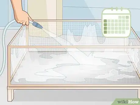 Image titled Ensure a Happy Life for Your Guinea Pig Step 25