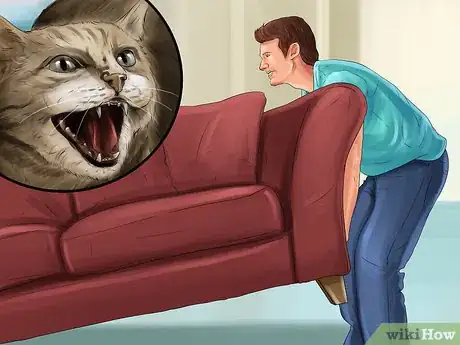 Image titled Deal with Stress‐Related Skin Problems in Cats Step 5