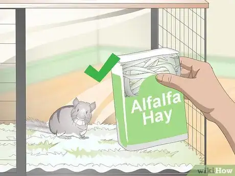 Image titled Supplement Nutrients in Your Chinchilla's Diet Step 2