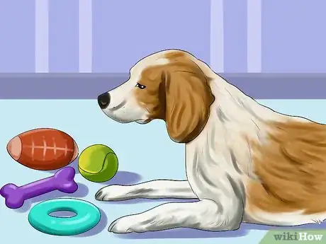 Image titled Adopt a Hound Dog Step 12