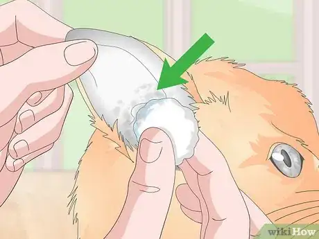 Image titled Keep Your Cat Clean Step 16