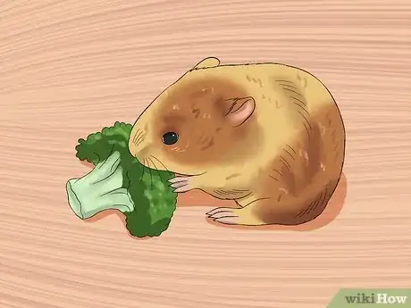 Image titled Make Baby Dwarf Hamster Food Step 3