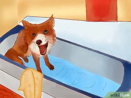 Image titled Groom a Pet Fox Step 3