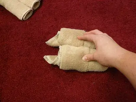 Image titled C18_761.JPG