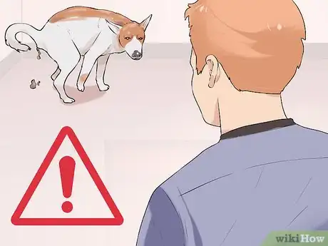 Image titled Treat Metabolic Disease in Older Dogs Step 3