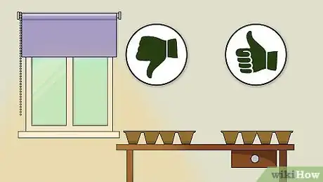 Image titled Grow Golden Barrel Cactus Step 3