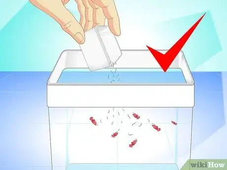Image titled Breed Wild Bettas Step 11